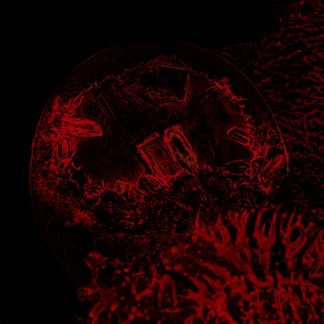 Impure Declaration - Of veins, tendons and bones (CD)