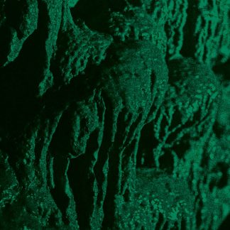 Ch'ahom - Excavation (LP)