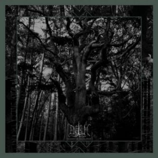 Enisum - Seasons of desolation (2LP)