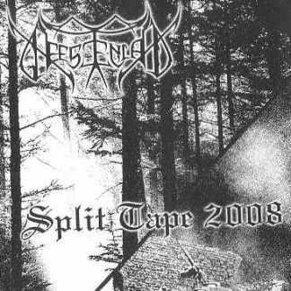 Gheestenland / Terdor - split tape (MC)
